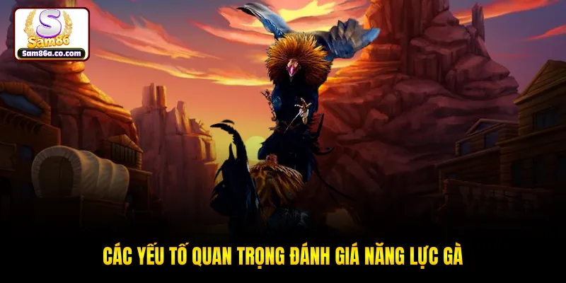 Các yếu tố quan trọng đánh giá năng lực gà