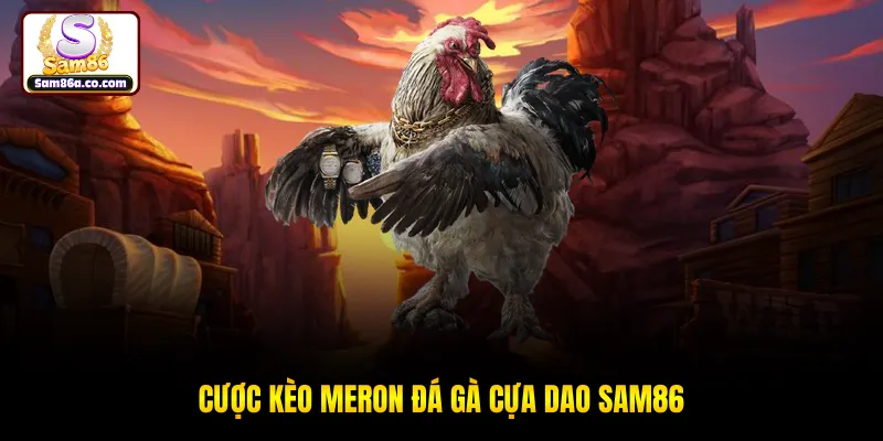 Cược kèo Meron đá gà cựa dao SAM86