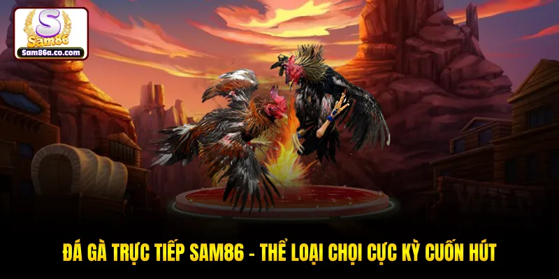 Đá Gà Trực Tiếp SAM86