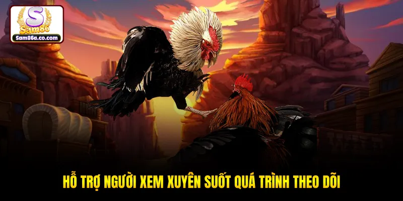 Hỗ trợ người xem xuyên suốt quá trình theo dõi