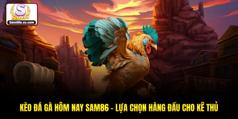 Kèo Đá Gà Hôm Nay SAM86