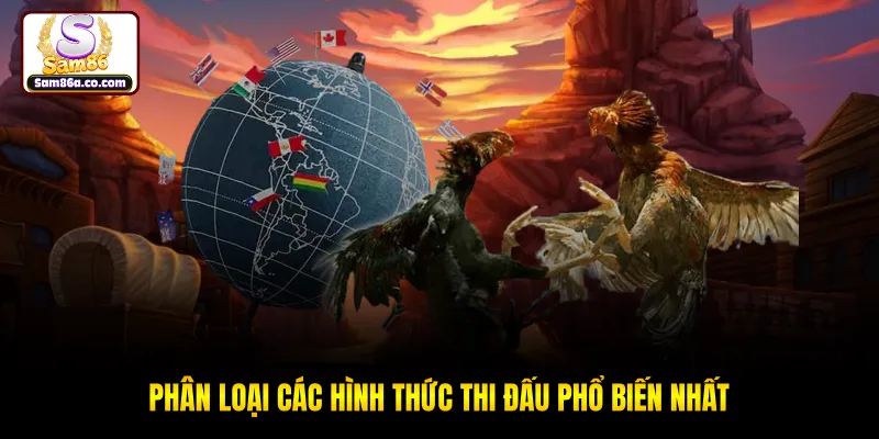 Phân loại các hình thức thi đấu phổ biến nhất