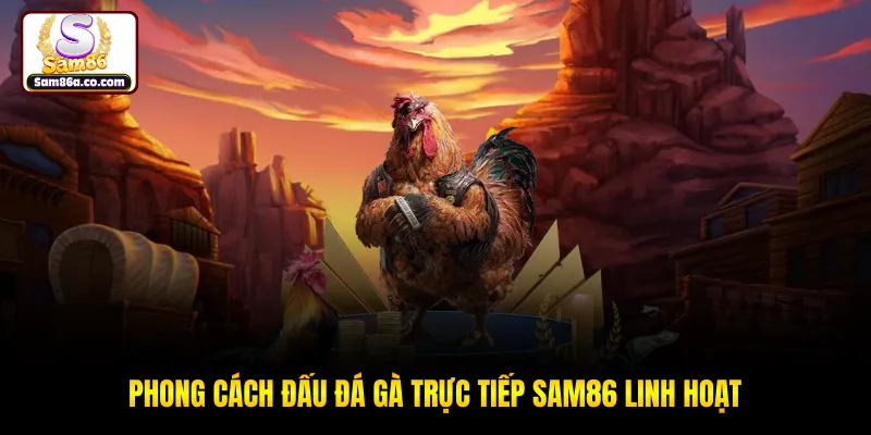 Phong cách đấu đá gà trực tiếp SAM86 linh hoạt