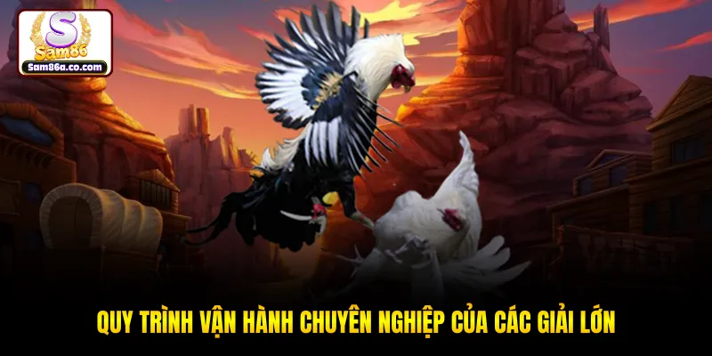 Quy trình vận hành chuyên nghiệp của các giải lớn