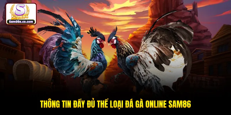 Thông tin đầy đủ thể loại đá gà online SAM86